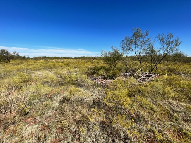 Pasture views