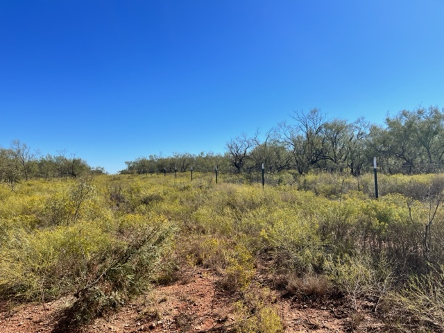 Fenceline view