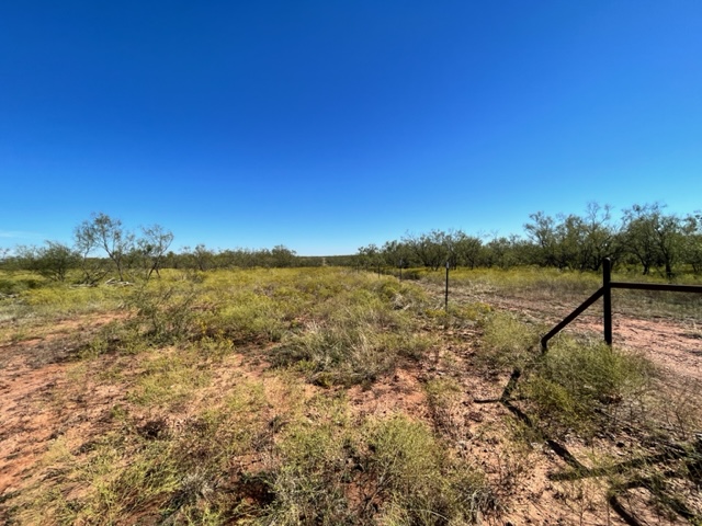 Boundary fencing