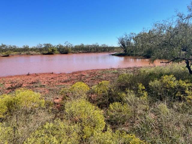 Surface pond