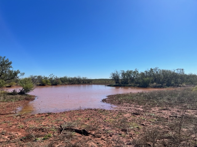 Surface pond