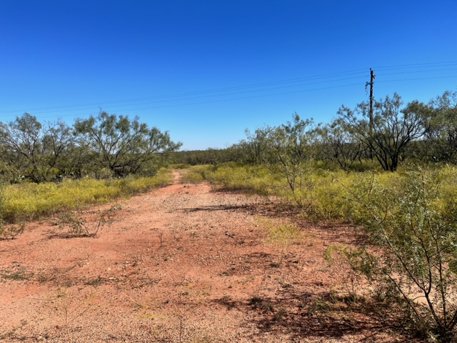 Interior roads