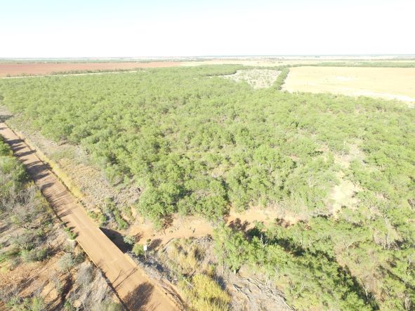 Pasture and Sandy Creek