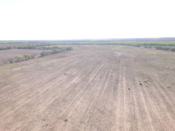 Cultivated acreage