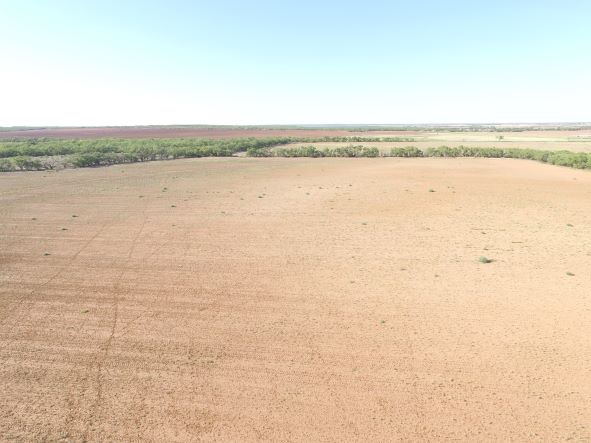 Cultivated acreage