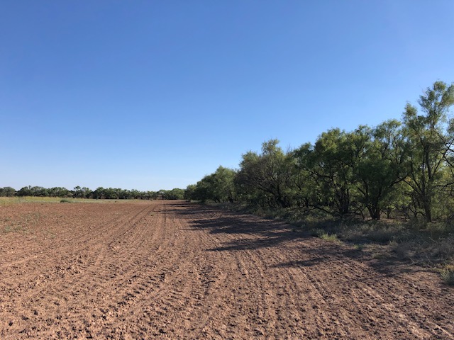 Cultivated acreage