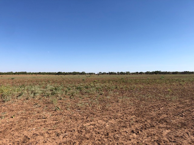 Cultivated acreage