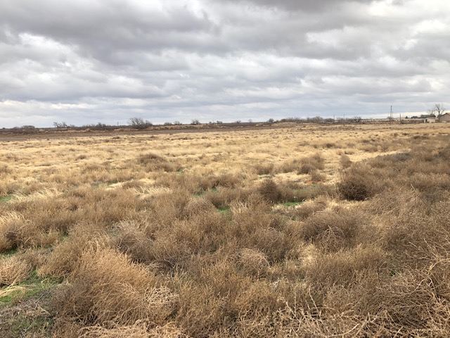 Views of the land