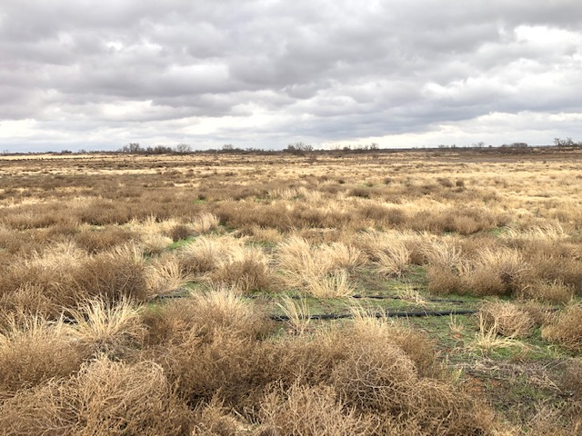 View of the land