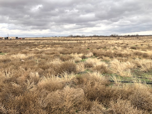 View of the land